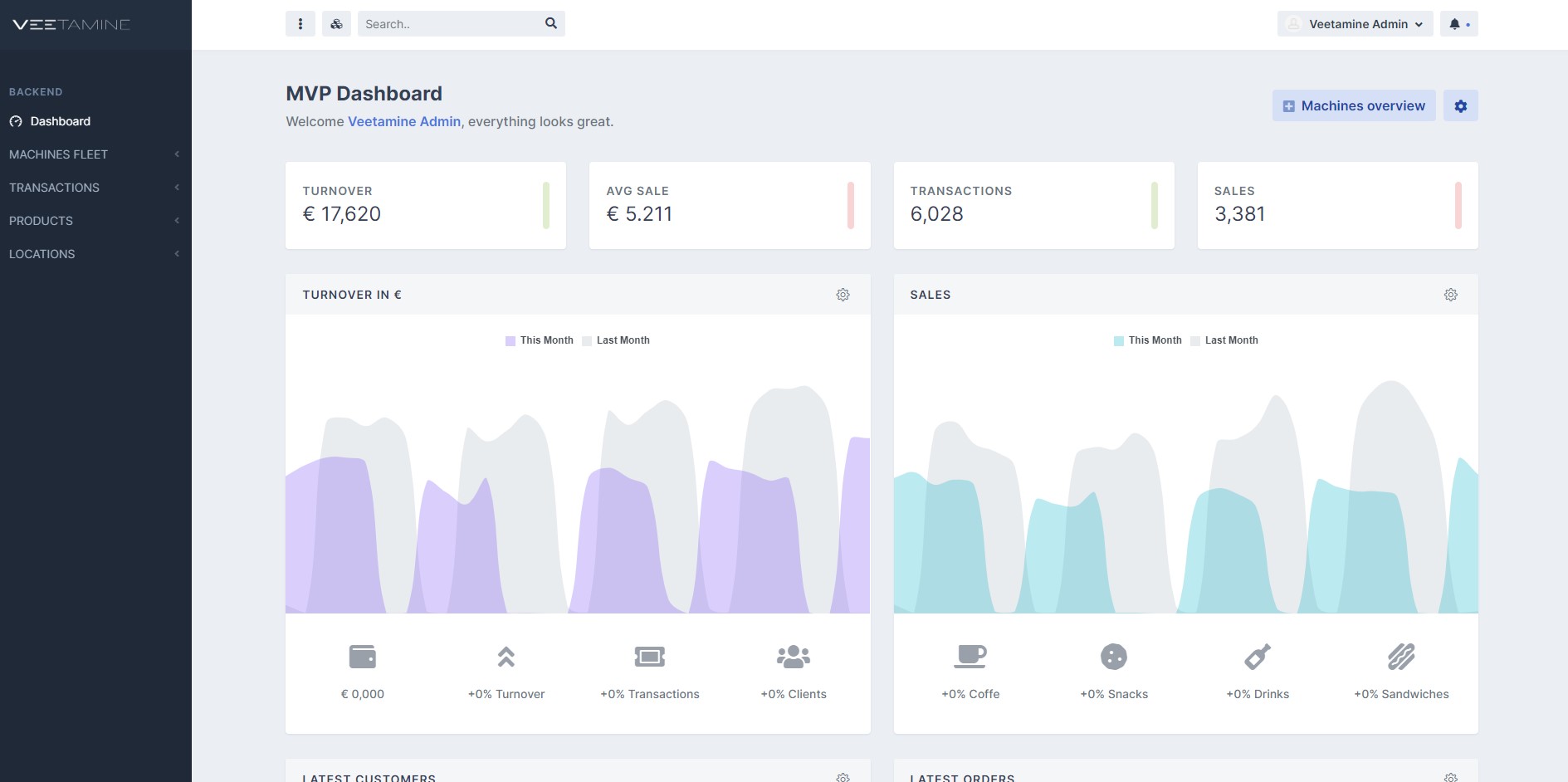 IT project management